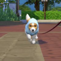 The Sims 4 Cats Dogs Official Reveal Trailer 204