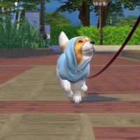 The Sims 4 Cats Dogs Official Reveal Trailer 207