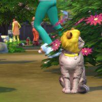 The Sims 4 Cats Dogs Official Reveal Trailer 212