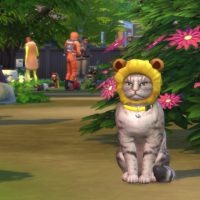 The Sims 4 Cats Dogs Official Reveal Trailer 215