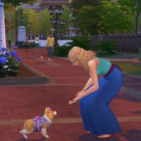The Sims 4 Cats Dogs Official Reveal Trailer 247