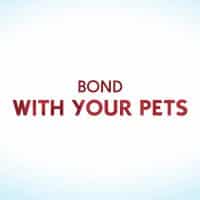 The Sims 4 Cats Dogs Official Reveal Trailer 260