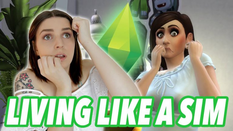 A Youtuber tried to live like a Sim for a day!