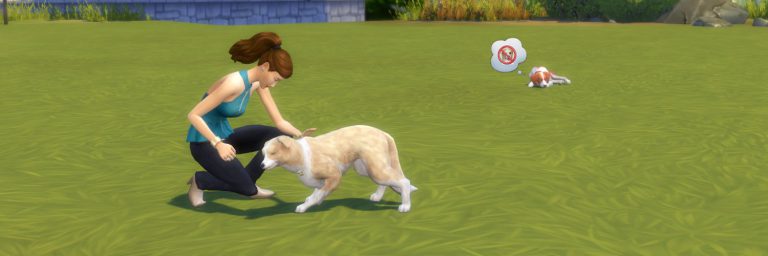The Sims 4 Cats & Dogs: New Dogs Screenshot
