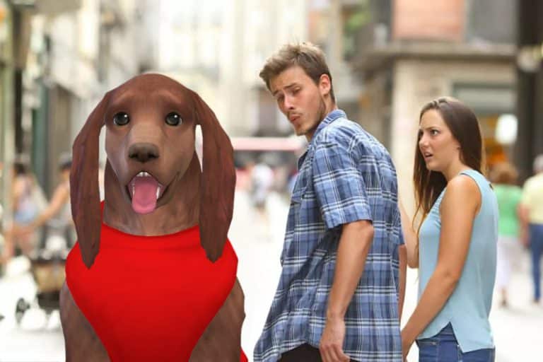 The Sims 4 Cats & Dogs: “Distracted Boyfriend” Official Meme Remake