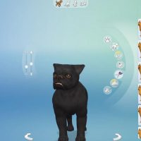 sims 4 pets 0