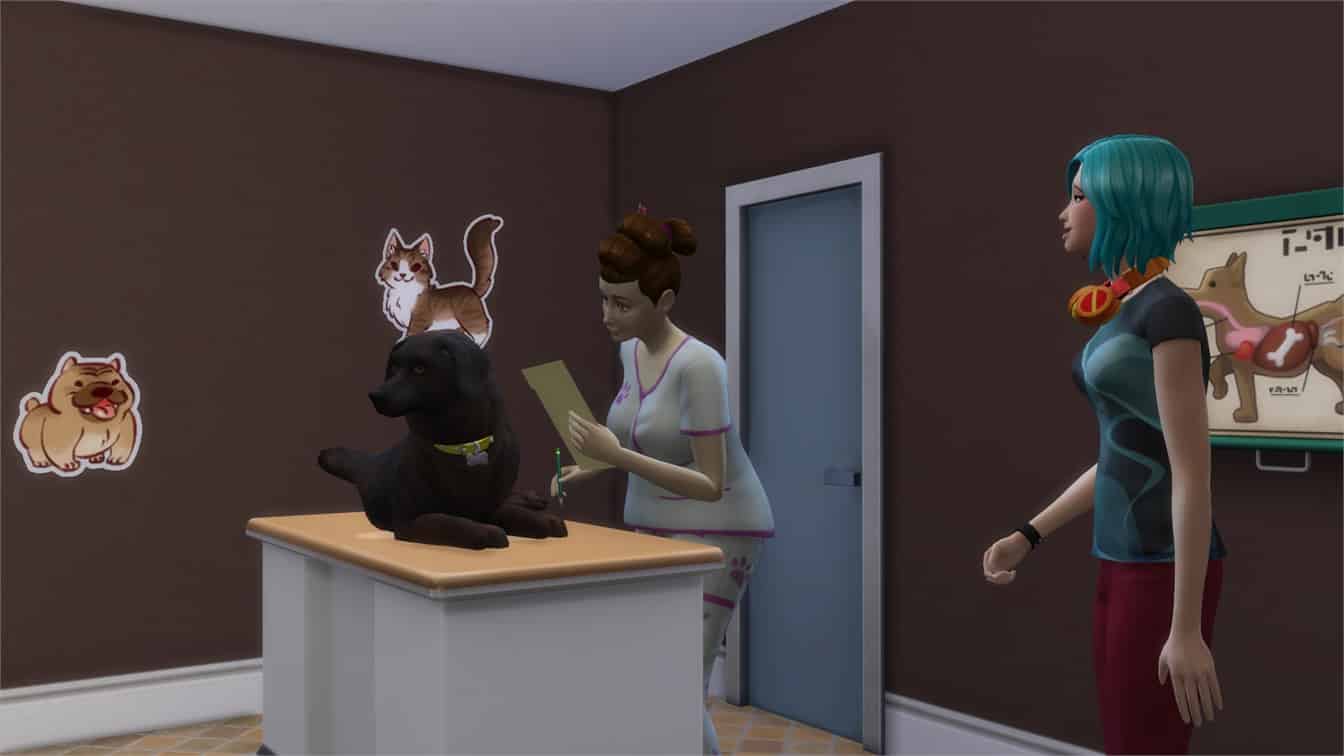 Симс кошки и собаки. The SIMS 4. кошки и собаки. SIMS 4 Cats and Dogs SIMS. Симс 4 дополнение кошки и собаки. Доберман симс 4.