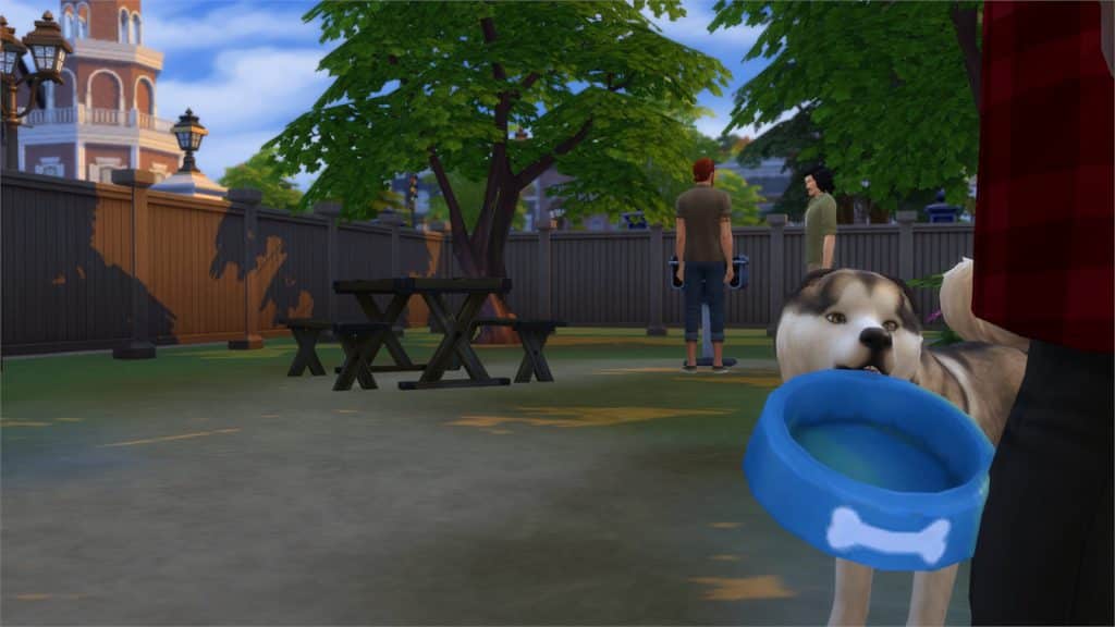 15 interesting facts about Cats and Dogs in The Sims 4