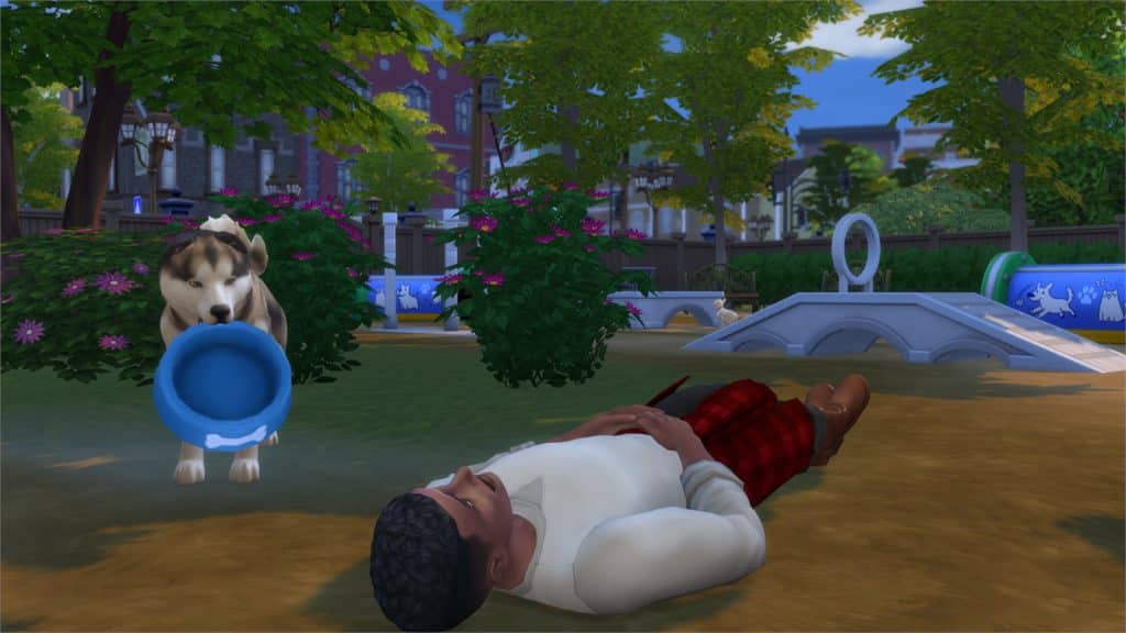 15 interesting facts about Cats and Dogs in The Sims 4