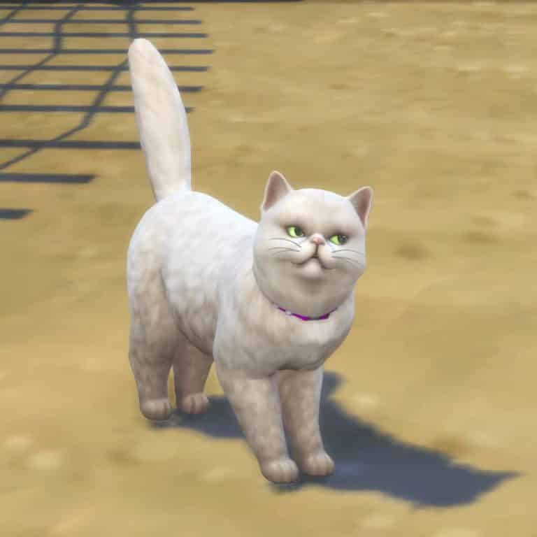 Multiple Livestreams for The Sims 4 Cats & Dogs Confirmed