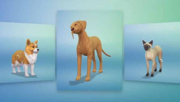 The Sims 4 Cats & Dogs: Create A Pet Official Trailer Teaser