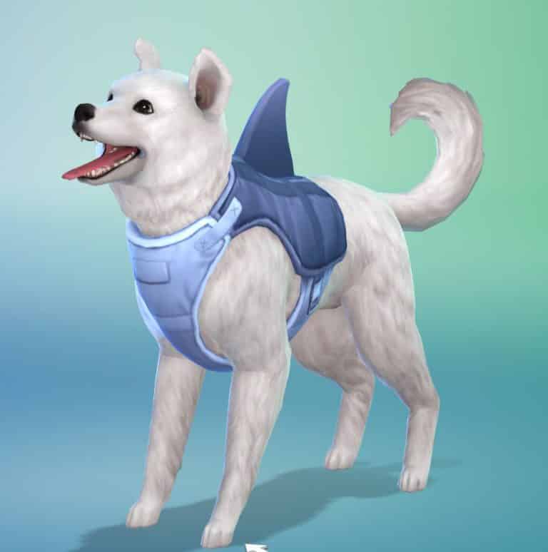 The Sims 4 Cats & Dogs: New Batch of Screens from SimGuruEmory