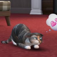 TS4 EP04 CAT PERSONALITY