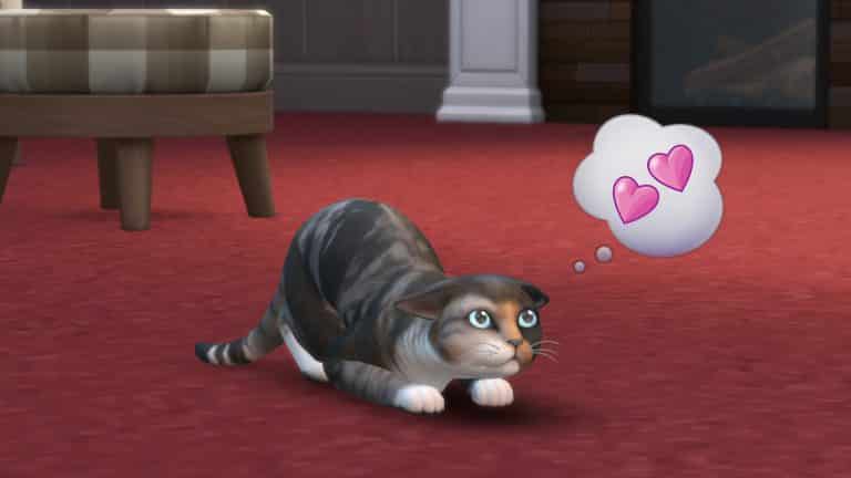 TS4 EP04 CAT PERSONALITY