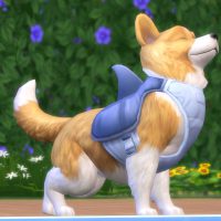 TS4 EP04 CORGI SHARKFIN