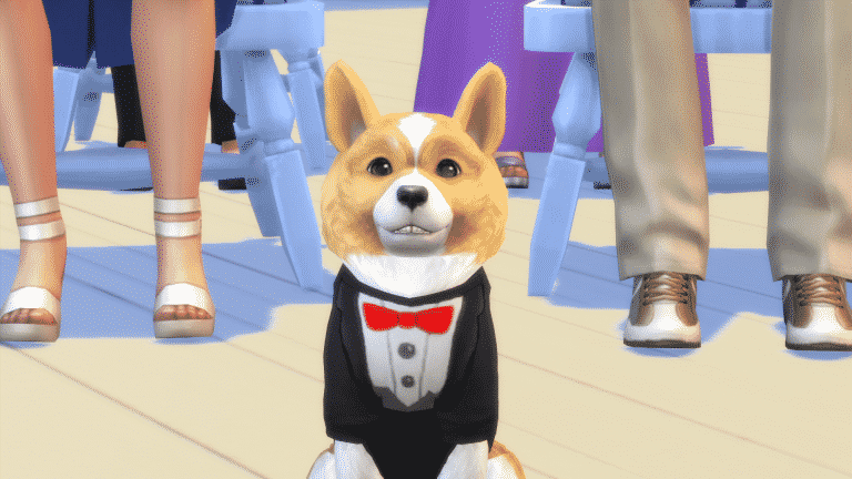 TS4 EP04 CORGI TUX