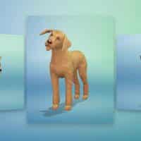 The Sims 4 Cats Dogs Create A Pet Official Gameplay Trailer 128