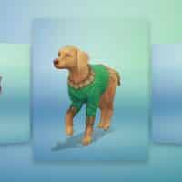 The Sims 4 Cats Dogs Create A Pet Official Gameplay Trailer 137