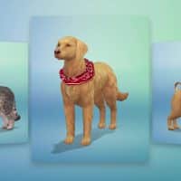 The Sims 4 Cats Dogs Create A Pet Official Gameplay Trailer 146