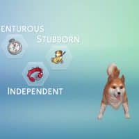 The Sims 4 Cats Dogs Create A Pet Official Gameplay Trailer 158