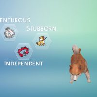 The Sims 4 Cats Dogs Create A Pet Official Gameplay Trailer 160