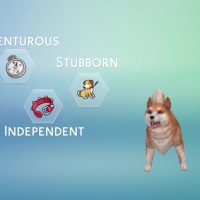 The Sims 4 Cats Dogs Create A Pet Official Gameplay Trailer 164