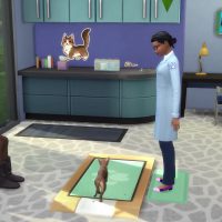 The Sims 4 Cats Dogs Veterinarian Official Gameplay Trailer 066