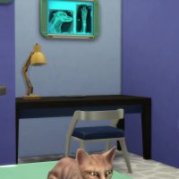 The Sims 4 Cats Dogs Veterinarian Official Gameplay Trailer 069
