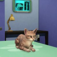 The Sims 4 Cats Dogs Veterinarian Official Gameplay Trailer 070