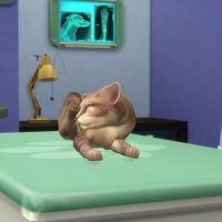 The Sims 4 Cats Dogs Veterinarian Official Gameplay Trailer 074