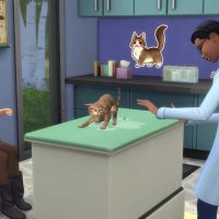 The Sims 4 Cats Dogs Veterinarian Official Gameplay Trailer 082