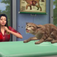 The Sims 4 Cats Dogs Veterinarian Official Gameplay Trailer 083