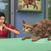 The Sims 4 Cats Dogs Veterinarian Official Gameplay Trailer 087