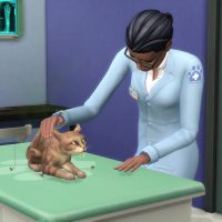 The Sims 4 Cats Dogs Veterinarian Official Gameplay Trailer 097