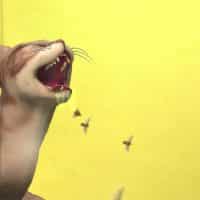 The Sims 4 Cats Dogs Veterinarian Official Gameplay Trailer 098