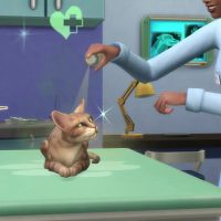 The Sims 4 Cats Dogs Veterinarian Official Gameplay Trailer 135