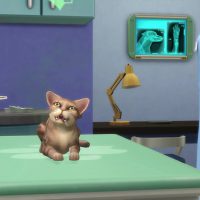 The Sims 4 Cats Dogs Veterinarian Official Gameplay Trailer 141