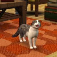 The Sims 4 Cats Dogs Veterinarian Official Gameplay Trailer 208