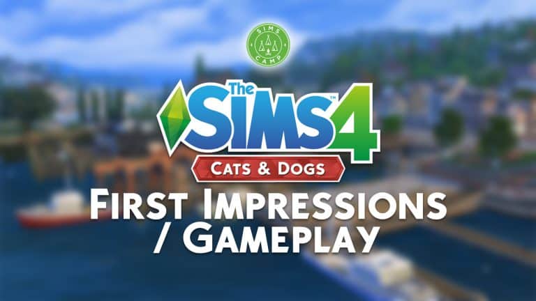 firstimpressions
