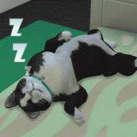 11 10 17 11 28 53 PM