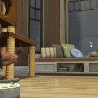 11 12 17 11 51 18 PM