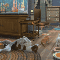 11 18 17 11 44 55 PM