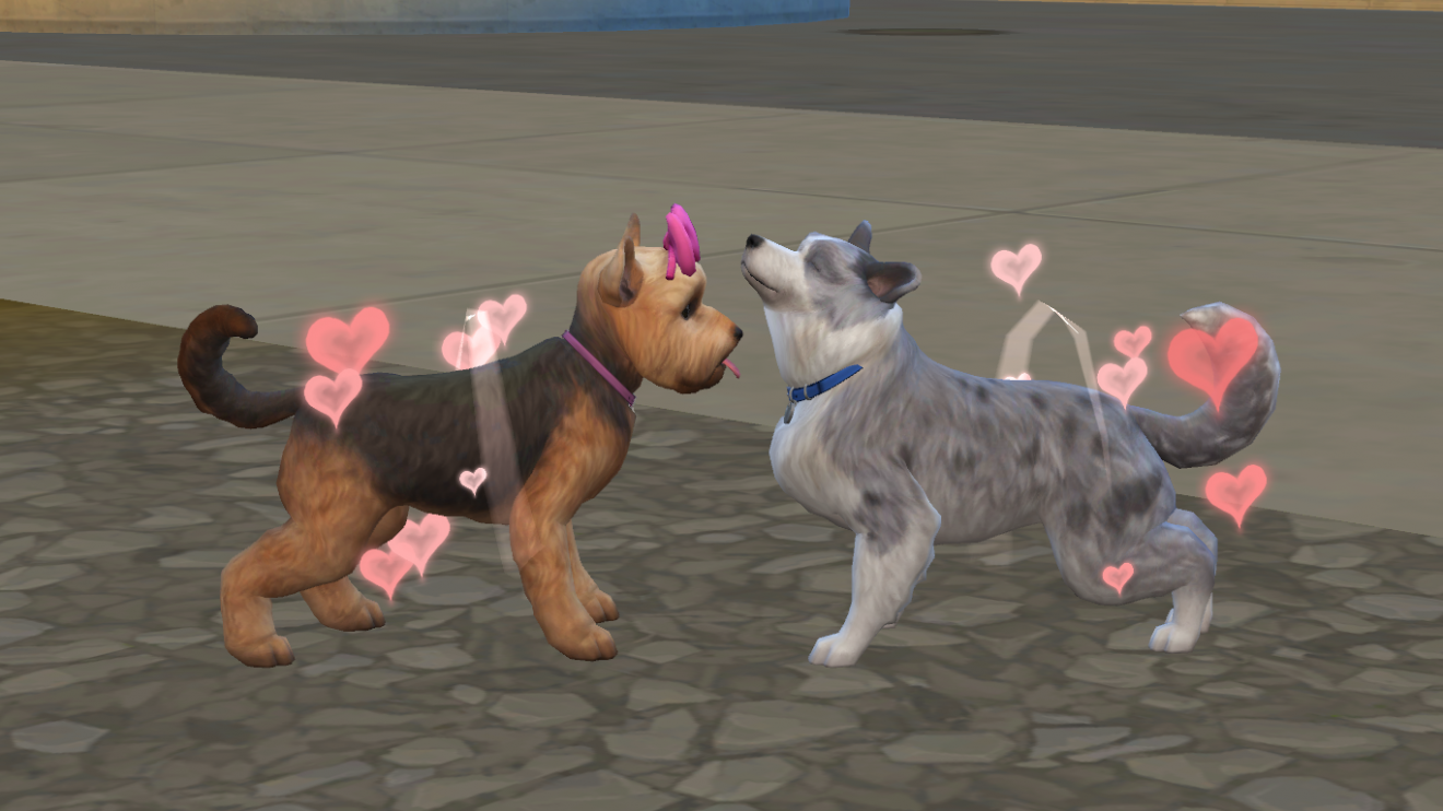 The Sims 4 Cats &amp; Dogs: Breeding for Profit