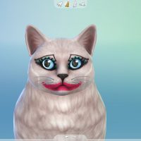 CatMakeup
