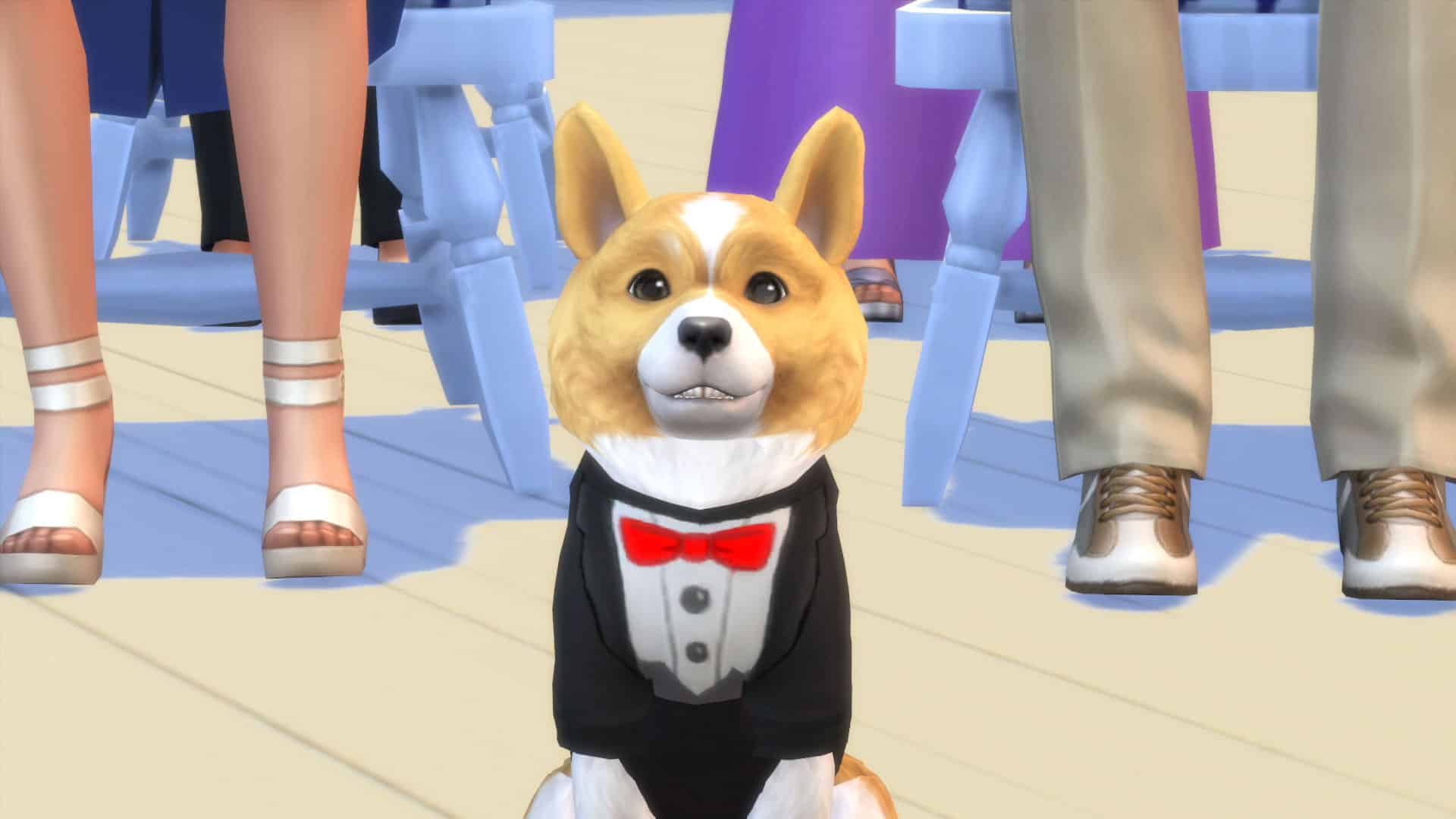 dantdm the sims 4 cats and dogs