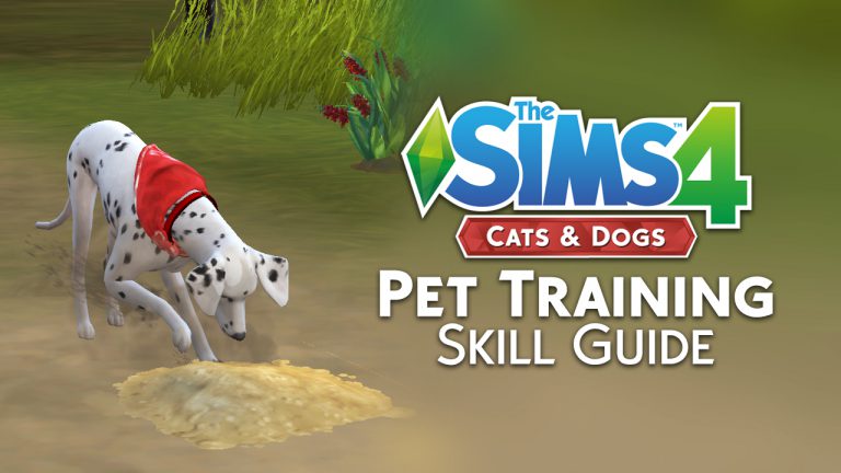 pettraining