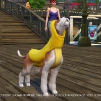 The Sims 4 My First Pet Stuff Official Trailer 006