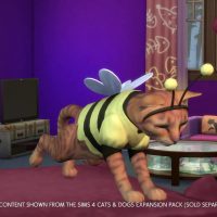 The Sims 4 My First Pet Stuff Official Trailer 009