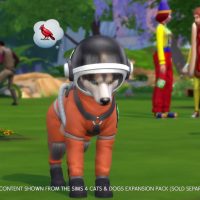 The Sims 4 My First Pet Stuff Official Trailer 010