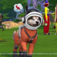 The Sims 4 My First Pet Stuff Official Trailer 013